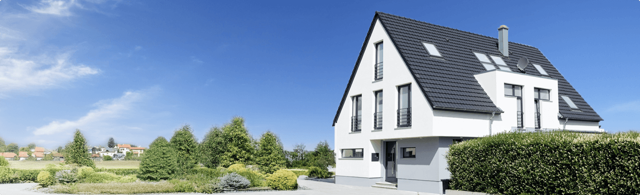 Fenster günstig online kaufen.